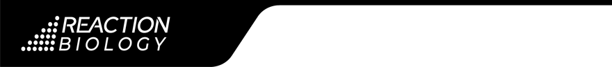 Asset 9