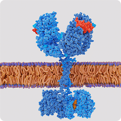 Precise Phosphorylation Analysis with Reaction Biology