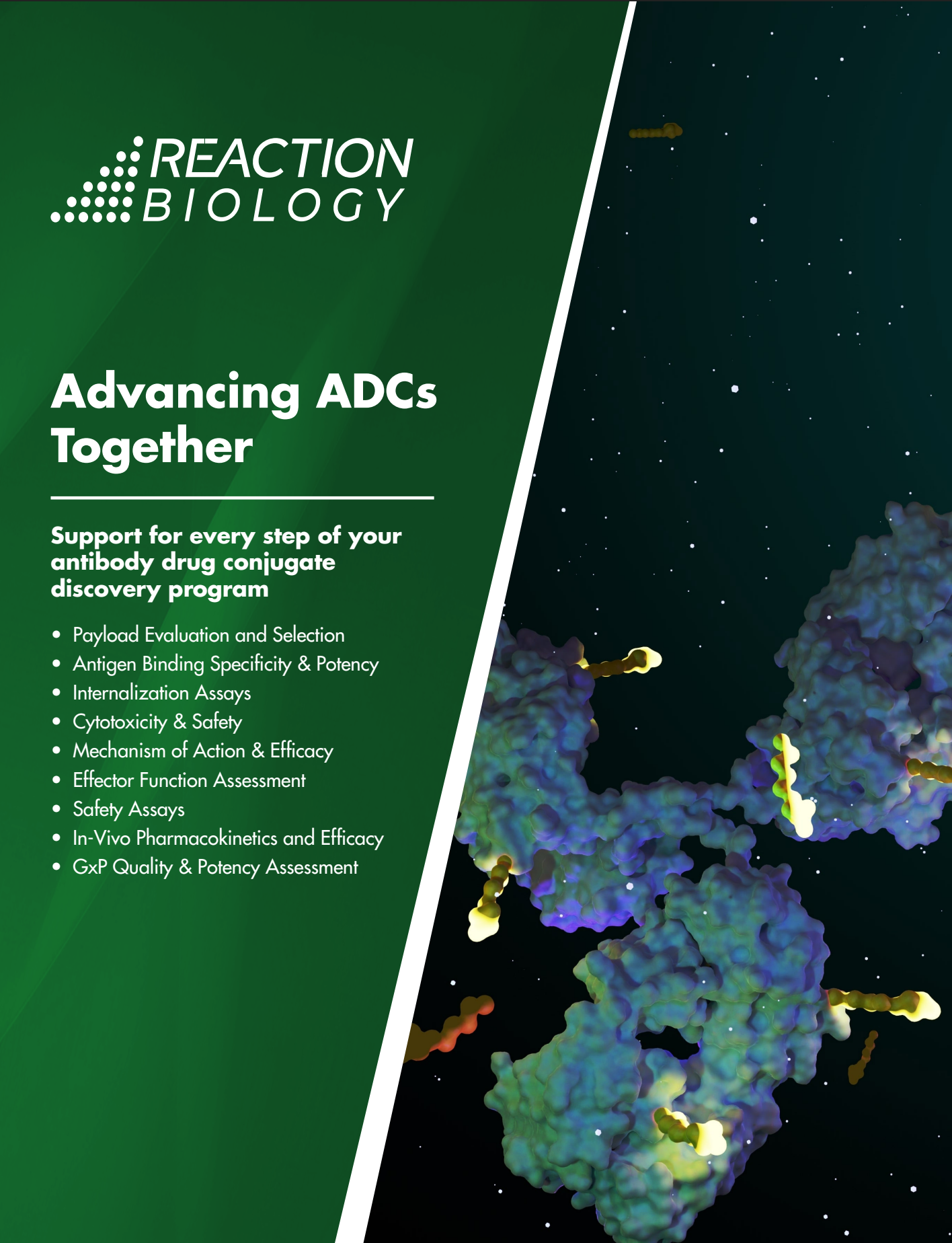 Brochure-ADC 2025