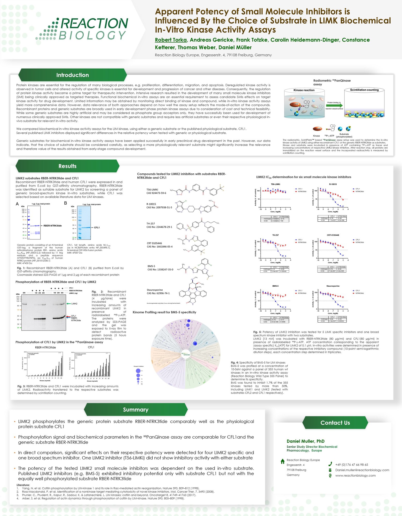AACR 2025_Poster_6966_Torka