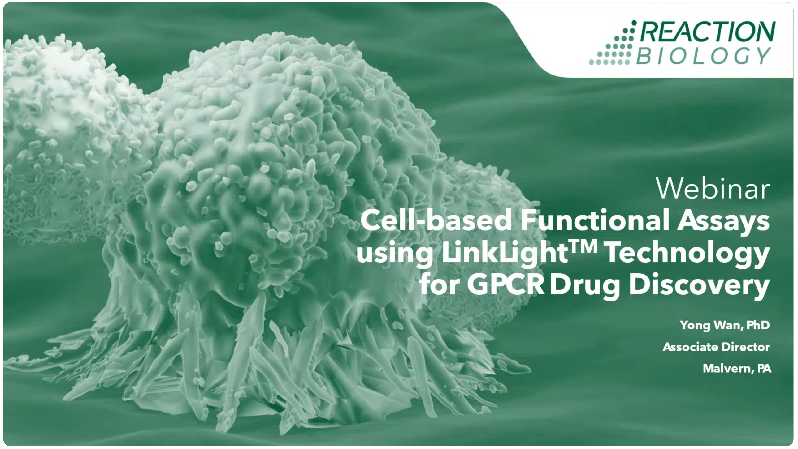 Cell-Based Functional Assays for GPCR Drug Discovery
