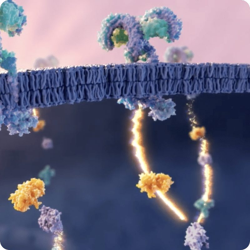 Reaction Biology Presents:<br />
ADP-Glo™ Kinase Assay