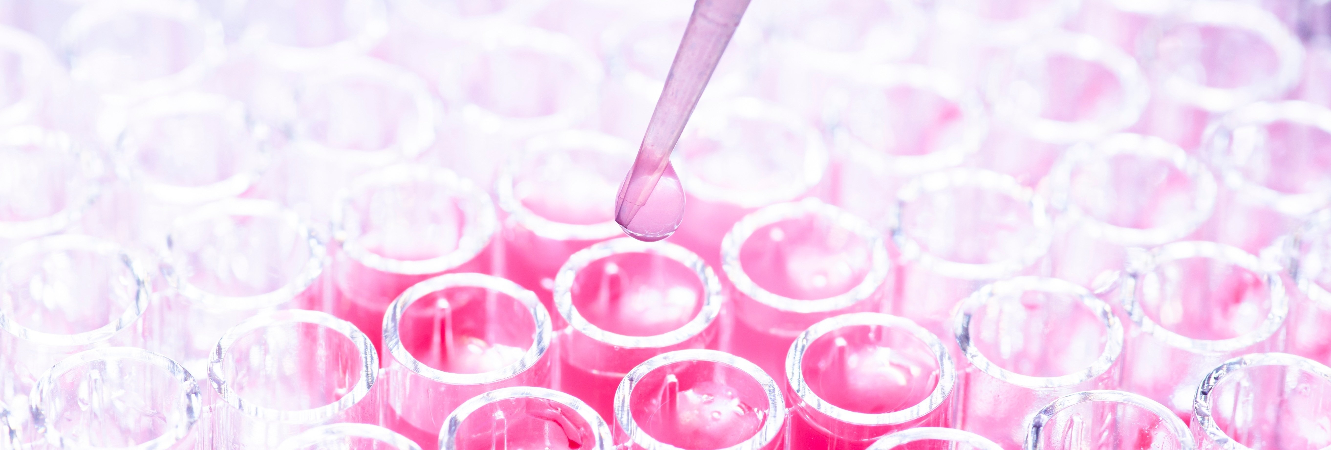 <br />
GxP Potency Assays